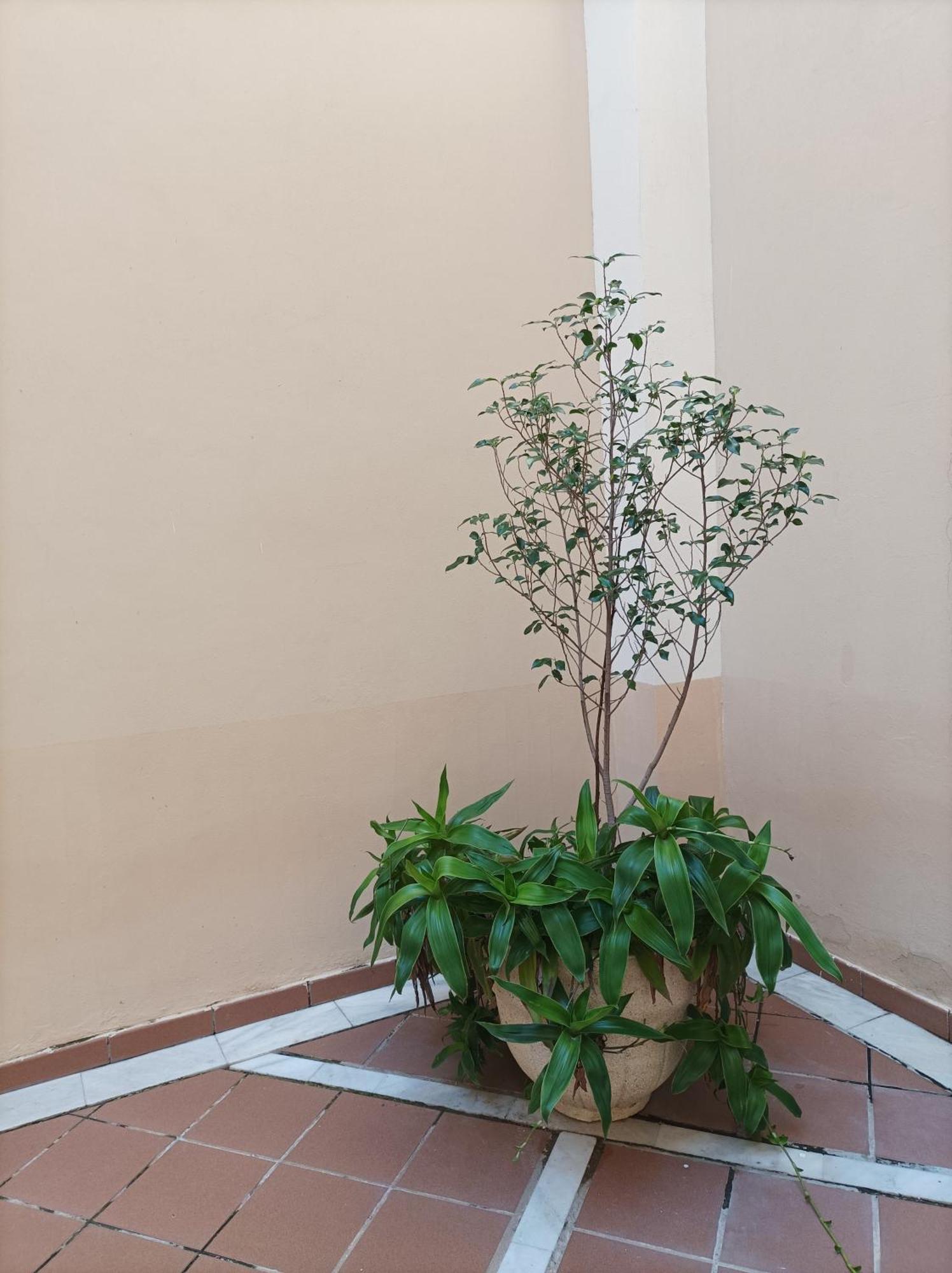 Apartamento De Lux Sevilla Este Екстериор снимка